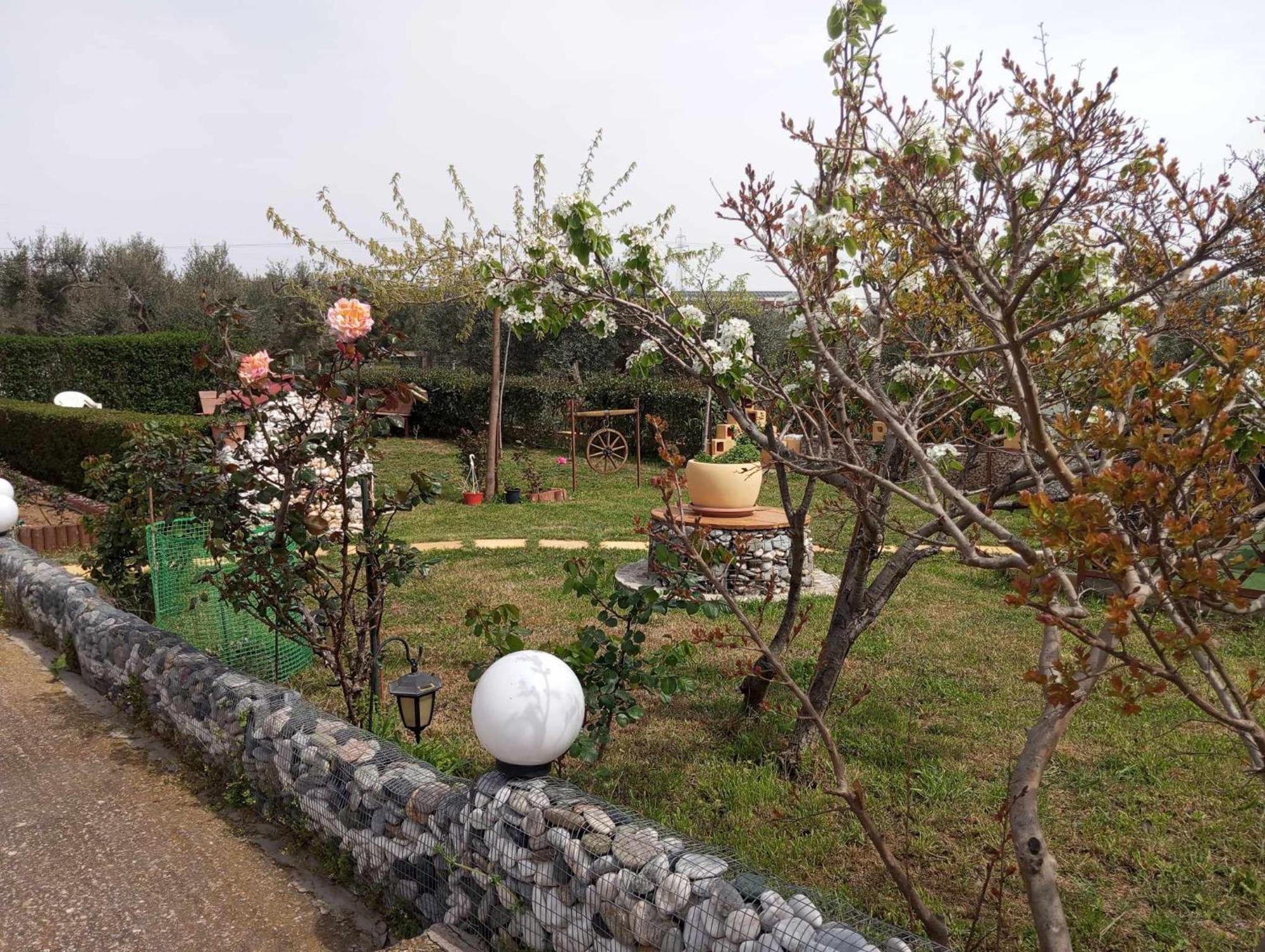 Dora'S Garden Villa Alexandrópolis Exterior foto